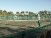 courts