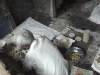 makingchapattis