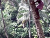 climb12