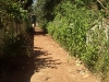 backstreet