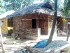 bamboohouse